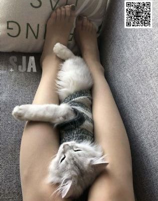 大妈的世界