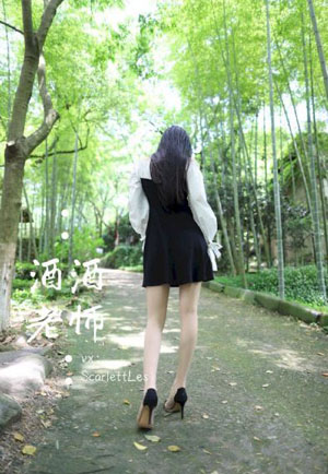 我是赵传奇免费观看