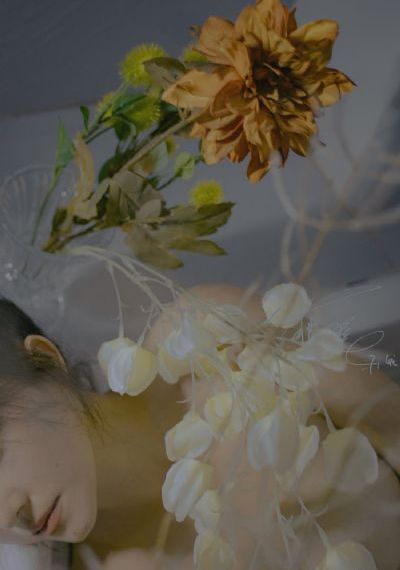 蜜蜂总动员